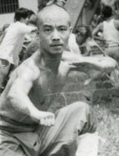 Xia Quan Tai Chi Kung Fu Nederland Rotterdam Sifu Kong Kung Fu film 84